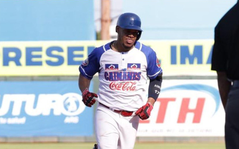 Caimanes, finalistas de la Serie del Caribe